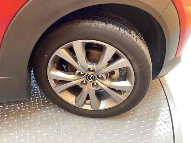 ���Ԃ̒m�����Ȃ��Ă����v�ł��I���C�y�ɂ����≺�����I���Ȃ��̂��T���̂P�䂪�����ɂ���܂��I