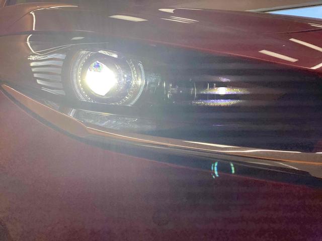 ���Ԃ̒m�����Ȃ��Ă����v�ł��I�F�l�̂����X���X�^�b�t�ꓯ�A�S��肨�҂����Ă���܂��B