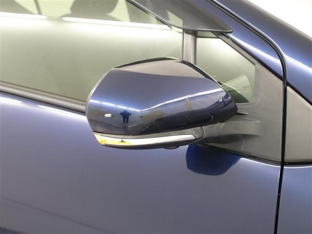 �^�[�������v�t���h�A�~���[�ň��S���S��