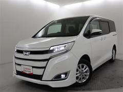 �Υ� �ϥ��֥�åɣ� 0704803A20260202T001 2