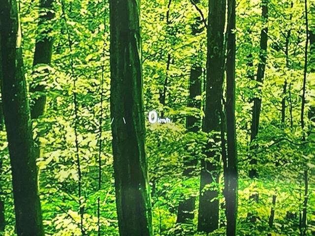 ＣＸ－５ ＸＤ　ブラックトーンエディション　純正１０．２５型ナビ　全周囲カメラ　メモリーシート　パワーバックドア　デュアルオートエアコン　アイアクティブセンス　レーダークルーズ　ブラインドスポットモニター　ステアリングヒーター（51枚目）