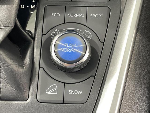 RAV4 アドベンチャー オフロードパッケージ 4WD 純正9型ナビ 禁煙車 ブラインドスポットモニター レーダークルーズコントロール バックカメラ ETC ドライブレコーダー ハンドルヒーター シートベンチレーション ハンズフリーパワーバックドア(46枚目)
