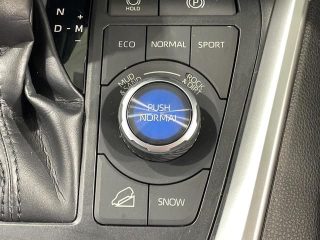 ＲＡＶ４ アドベンチャー　４ＷＤ　ＪＡＯＳエアロ　純正９型ナビ　バックカメラ　衝突被害軽減システム　レーダークルーズ　禁煙車　電動リアゲート　シートエアコン　シートヒーター　コーナーセンサー　ステアリングヒーター　ＥＴＣ（41枚目）