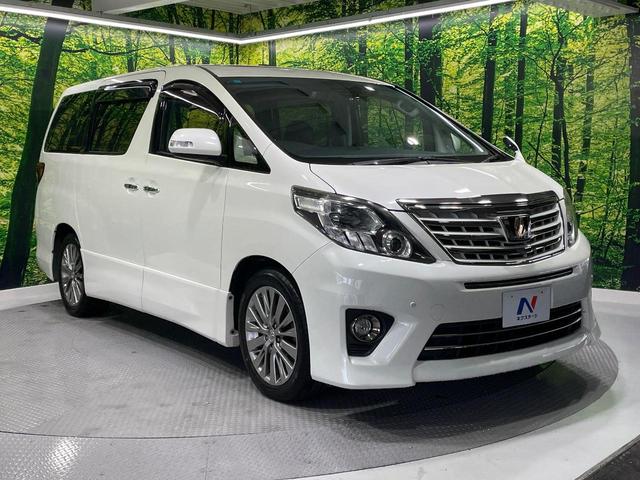 アルファード ２４０Ｓ　タイプゴールドＩＩ　ツインムーンルーフ　禁煙車　ＢＩＧ－Ｘ１０インチナビ　フリップダウンモニター　両側パワースライドドア　クルーズコントロール　パワーバックドア　バックカメラ　ビルトインＥＴＣ　ＨＩＤヘッドライト（17枚目）