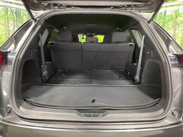 ��Ȃ��i�[����ƁA���ꂾ���̍L�����I�V�[���ɍ��킹���V�[�g�A�����W�ŁA�傫�ȉו����ςނ��Ƃ��o���܂���