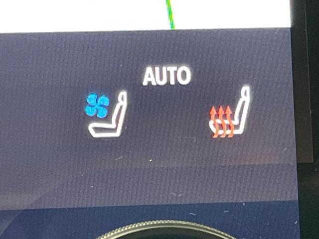 アルファード Ｚ　純正１４型ナビ　左右独立ムーンルーフ　電動サイドステップ　両側電動ドア　後席モニター　全周囲カメラ　衝突被害軽減システム　レーダークルーズ　禁煙車　電動リアゲート　前中列シートエアコン（31枚目）