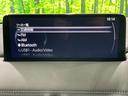 ＸＤ　ブラックトーンエディション　純正１０．２５型ナビ　全周囲カメラ　メモリーシート　パワーバックドア　デュアルオートエアコン　アイアクティブセンス　レーダークルーズ　ブラインドスポットモニター　ステアリングヒーター（66枚目）