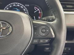 �ڥ졼�������롼������ȥ�����۹�®ƻϩ�Ǥ�Ĺ��Υ���Ԥ��ڤˡ�����ư��®�٤��ݤĥ��롼������ȥ����뤬�����ͷڸ������ƥ��Ϣ�Ȥ��������μ�ξ���Τ��Ƽִ֤��ݤĤ褦��®��Ĵ�ᤷ�Ƥ���ޤ����� 6