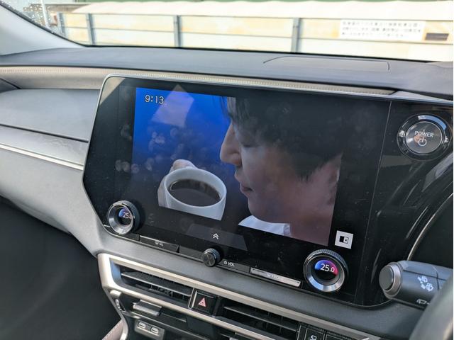 RX RX450h+ バージョンL パノラマルーフ/モデリスタフルエアロ/ワンオーナー/純正ナビ/フルセグTV/全周囲カメラ/ETC/パワーバックドア/本革シート/電動シート/シートヒーター/シートエアコン/衝突軽減ブレーキ(28枚目)