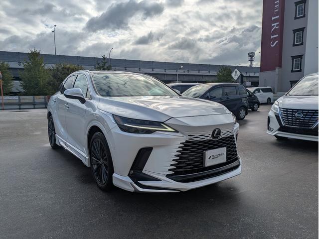 RX RX450h+ バージョンL パノラマルーフ/モデリスタフルエアロ/ワンオーナー/純正ナビ/フルセグTV/全周囲カメラ/ETC/パワーバックドア/本革シート/電動シート/シートヒーター/シートエアコン/衝突軽減ブレーキ(47枚目)