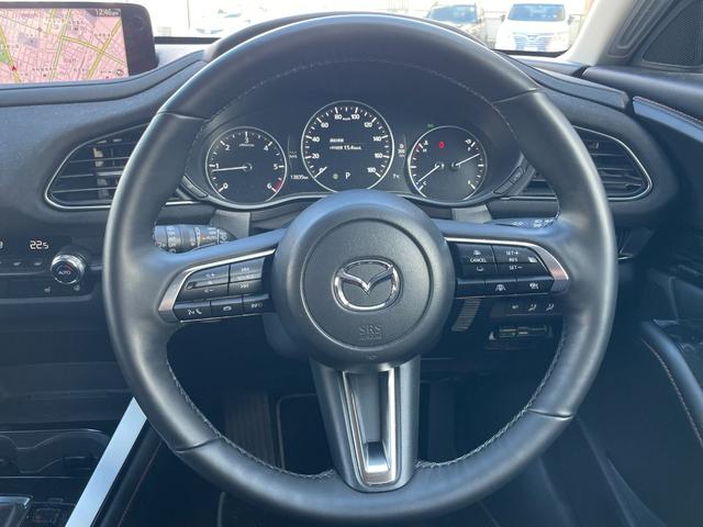 ＣＸ－３０ ＸＤ　レトロスポーツエディション　純正ナビ・ワンセグＴＶ・全周囲カメラ・ドラレコ・ＥＴＣ・パワーシート・シートヒーター・電動リアゲート・ハーフレザーシート・ＬＥＤヘッドライト・Ｂｌｕｅｔｏｏｔｈ接続（17枚目）