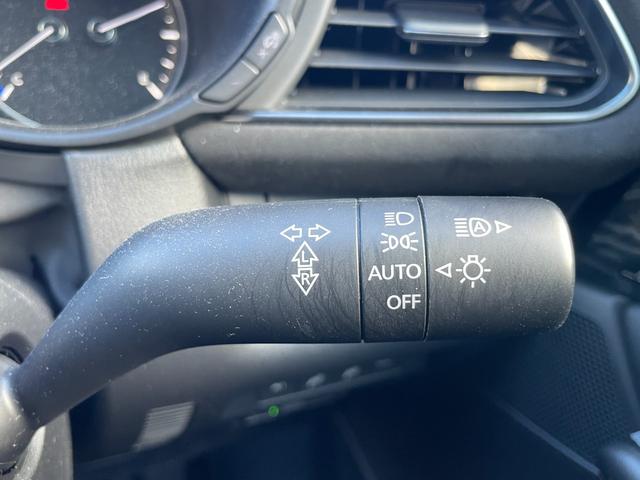 ＣＸ－３０ ＸＤ　レトロスポーツエディション　純正ナビ・ワンセグＴＶ・全周囲カメラ・ドラレコ・ＥＴＣ・パワーシート・シートヒーター・電動リアゲート・ハーフレザーシート・ＬＥＤヘッドライト・Ｂｌｕｅｔｏｏｔｈ接続（48枚目）