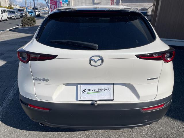 ＣＸ－３０ ＸＤ　レトロスポーツエディション　純正ナビ・ワンセグＴＶ・全周囲カメラ・ドラレコ・ＥＴＣ・パワーシート・シートヒーター・電動リアゲート・ハーフレザーシート・ＬＥＤヘッドライト・Ｂｌｕｅｔｏｏｔｈ接続（55枚目）