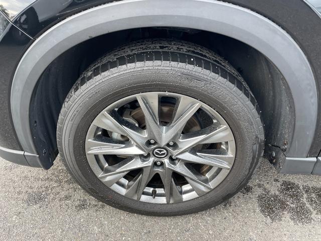 �y�S�ԗ��ۏ؂��z�P�����̕ۏؕt���I�ʓr�L���ɂĕۏ؉����v���������p�ӂ��Ă���܂��I�ڍׂ͂��C�y�ɂ��₢���킹���������I