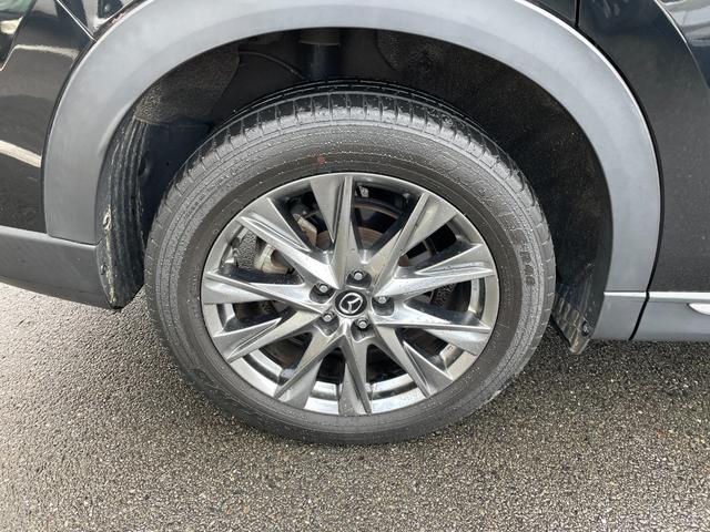 �y���S�̃_�C���N�g�̔��z�t�����e�B�A���[�^�[�X�͒��ڔ���A���ڔ̔��I���I�[�i�[�l��蒼�ڎd����̂��߁A�ԗ��̗����E���p���R�������I���S���Ă��w�����������܂��I