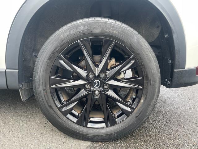 �y������T�z�t�����e�B�A�L�����y�[���J�Ò��I�������̓��T�̂��߂��}�����������I���ڍׂ͉摜���������Q�Ƃ��������B