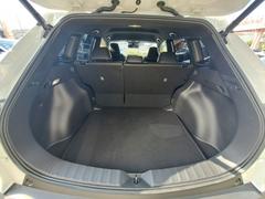 ����襵���ӥ��۸��ߤ����Τ��֤�����ե���ƥ����⡼�������Ǿ���ޤ�����������ؤ��꺢�ˤ����ĺ���פ��ʤ�ޤ��� 6