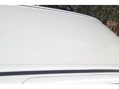 ��ե����� �����ǡ��ѥΥ�ߥå��롼�ե쥹���͡��ʥӡ�����ɥ�쥳�ǥ����륤��ʡ��ߥ�� 0704840A30251226W008 6