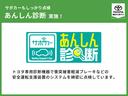 カスタムＧ－Ｔ　地上デジタル　アルミホイル　踏み間違い防止装置　両側電動ドア　ＬＥＤヘッドライト　クルコン　リアカメラ　横滑り防止装置　ＥＴＣ　キーレス　ＴＶナビ　オートエアコン　パワーウインドウ　ＤＶＤ　エアバッグ（30枚目）