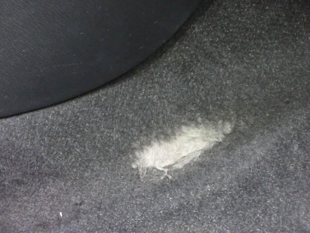 アクア Ｓ　ワンセグ　メモリーナビ　バックカメラ　衝突被害軽減システム（32枚目）