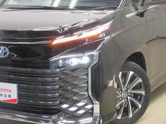 �̣ţĥإåɥ饤�ȤǤ����ǥ����������褯�ȤƤ����뤤�Τǡ���֤����Ԥ䰭ŷ���Ǥ�¿��Ǥ���������Ĺ��̿�� 7