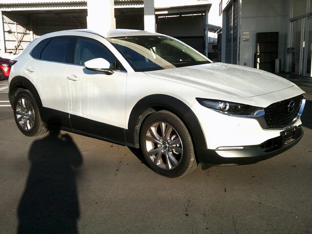 ＣＸ－３０ ＸＤ　プロアクティブ　ツーリングセレクション　ワンオーナー　オートエクゼ製パドルシフトスイッチ　ウェルカムランプ　イルミ付スカッフプレート　フットランプ　ナビＳＤ　ＥＴＣ　３６０ビューモニターカメラ　電動リアゲート　アンドロイドオート＆カープレイ（4枚目）