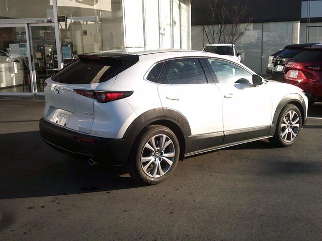 ＣＸ－３０ ＸＤ　プロアクティブ　ツーリングセレクション　ワンオーナー　オートエクゼ製パドルシフトスイッチ　ウェルカムランプ　イルミ付スカッフプレート　フットランプ　ナビＳＤ　ＥＴＣ　３６０ビューモニターカメラ　電動リアゲート　アンドロイドオート＆カープレイ（6枚目）