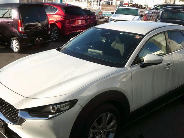 ＣＸ－３０ ＸＤ　プロアクティブ　ツーリングセレクション　ワンオーナー　オートエクゼ製パドルシフトスイッチ　ウェルカムランプ　イルミ付スカッフプレート　フットランプ　ナビＳＤ　ＥＴＣ　３６０ビューモニターカメラ　電動リアゲート　アンドロイドオート＆カープレイ（10枚目）