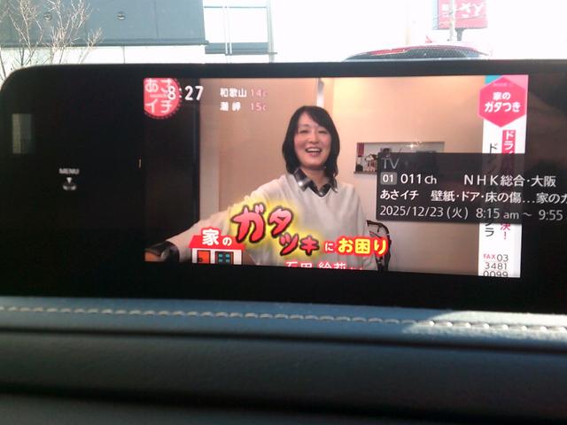 ＣＸ－３０ ＸＤ　プロアクティブ　ツーリングセレクション　ワンオーナー　オートエクゼ製パドルシフトスイッチ　ウェルカムランプ　イルミ付スカッフプレート　フットランプ　ナビＳＤ　ＥＴＣ　３６０ビューモニターカメラ　電動リアゲート　アンドロイドオート＆カープレイ（13枚目）