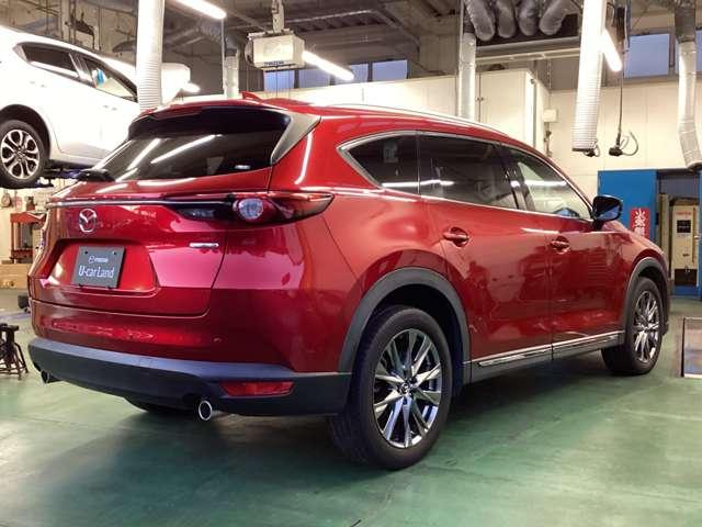 �l�C�̃N���[���f�B�[�[��