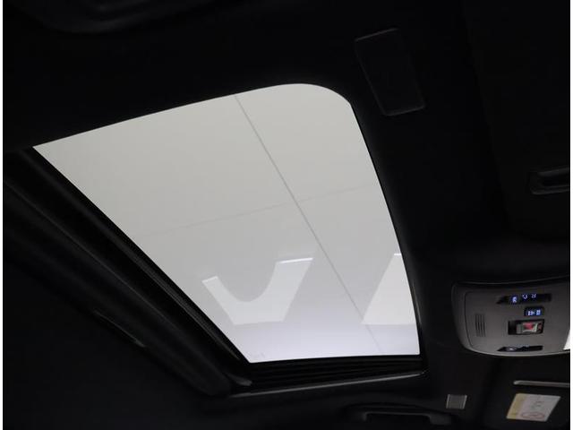 �T�����[�t���Ă��܂��I�L�����v�̎��ɖ�i�␯��𒭂߂邱�Ƃ��ł��܂����