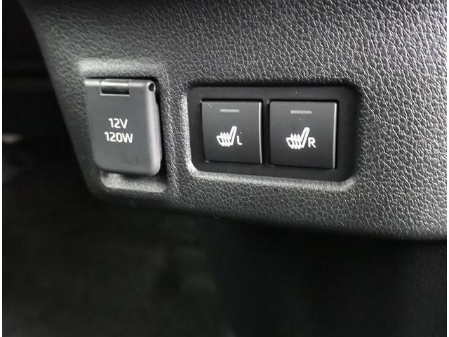 �V�[�g�q�[�^�[�ł��I�~�̔����������ɂ҂������ł����