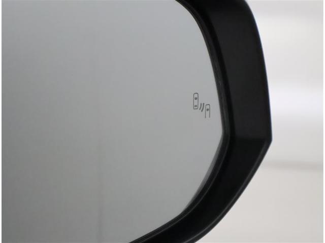 ＲＡＶ４ ハイブリッドＧ　サンルーフ　４ＷＤ　フルセグ　メモリーナビ　ＤＶＤ再生　バックカメラ　衝突被害軽減システム　ＥＴＣ　ドラレコ　ＬＥＤヘッドランプ　ワンオーナー　フルエアロ（32枚目）