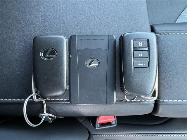 ＲＸ ＲＸ３００　Ｆスポーツ　革シート　サンルーフ　４ＷＤ　フルセグ　メモリーナビ　ＤＶＤ再生　ミュージックプレイヤー接続可　バックカメラ　衝突被害軽減システム　ＥＴＣ　ＬＥＤヘッドランプ　ワンオーナー　記録簿（14枚目）