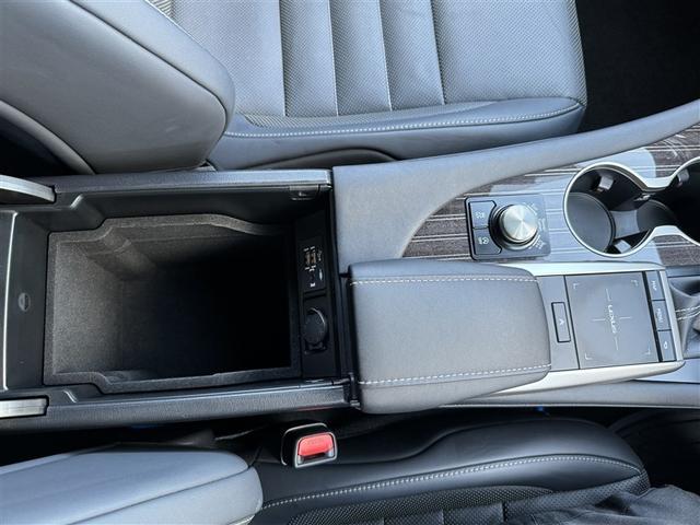 ＲＸ ＲＸ３００　Ｆスポーツ　革シート　サンルーフ　４ＷＤ　フルセグ　メモリーナビ　ＤＶＤ再生　ミュージックプレイヤー接続可　バックカメラ　衝突被害軽減システム　ＥＴＣ　ＬＥＤヘッドランプ　ワンオーナー　記録簿（23枚目）