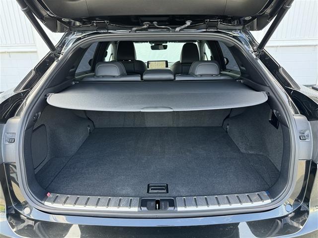 ＲＸ ＲＸ３００　Ｆスポーツ　革シート　サンルーフ　４ＷＤ　フルセグ　メモリーナビ　ＤＶＤ再生　ミュージックプレイヤー接続可　バックカメラ　衝突被害軽減システム　ＥＴＣ　ＬＥＤヘッドランプ　ワンオーナー　記録簿（30枚目）