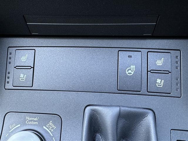 ＩＳ ＩＳ３００　ＦスポーツモードブラックＩＩＩ　サンルーフ　フルセグ　メモリーナビ　ＤＶＤ再生　ミュージックプレイヤー接続可　バックカメラ　衝突被害軽減システム　ＥＴＣ　ドラレコ　ＬＥＤヘッドランプ　ワンオーナー　記録簿　アイドリングストップ（15枚目）