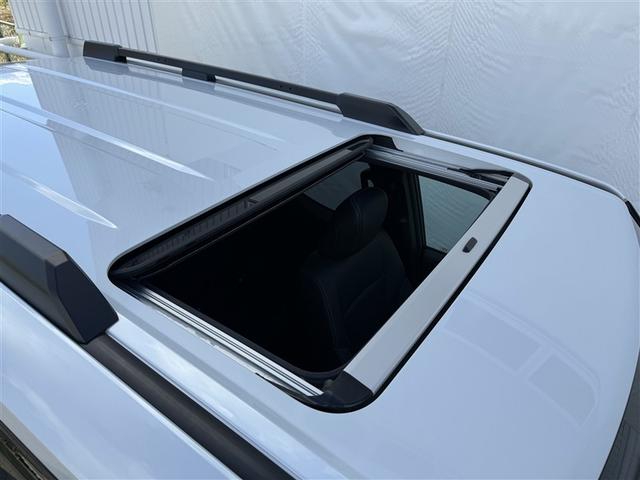 ���d�����[�����[�t�������ɑu�₩�ȋ�C���Ăэ��݁A���邭�J���I�ȃh���C�u���I