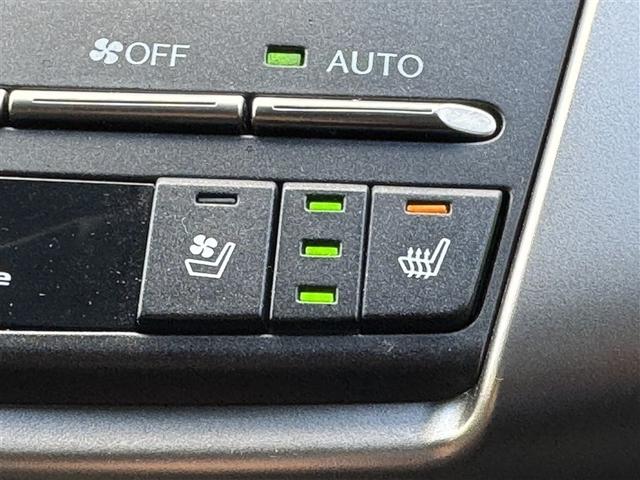 ＮＸ ＮＸ３００ｈ　Ｆスポーツ　革シート　フルセグ　メモリーナビ　ＤＶＤ再生　ミュージックプレイヤー接続可　バックカメラ　衝突被害軽減システム　ＥＴＣ　ドラレコ　ＬＥＤヘッドランプ　ワンオーナー（11枚目）