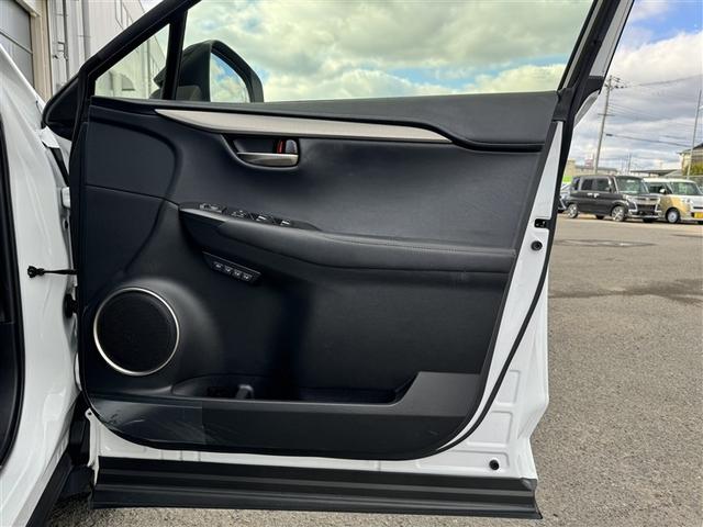 ＮＸ ＮＸ３００ｈ　Ｆスポーツ　革シート　フルセグ　メモリーナビ　ＤＶＤ再生　ミュージックプレイヤー接続可　バックカメラ　衝突被害軽減システム　ＥＴＣ　ドラレコ　ＬＥＤヘッドランプ　ワンオーナー（32枚目）