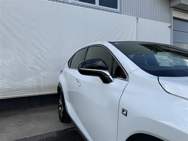 ＮＸ ＮＸ３００ｈ　Ｆスポーツ　革シート　フルセグ　メモリーナビ　ＤＶＤ再生　ミュージックプレイヤー接続可　バックカメラ　衝突被害軽減システム　ＥＴＣ　ドラレコ　ＬＥＤヘッドランプ　ワンオーナー（34枚目）