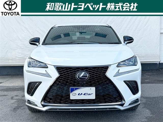 ＮＸ ＮＸ３００ｈ　Ｆスポーツ　革シート　フルセグ　メモリーナビ　ＤＶＤ再生　ミュージックプレイヤー接続可　バックカメラ　衝突被害軽減システム　ＥＴＣ　ドラレコ　ＬＥＤヘッドランプ　ワンオーナー（38枚目）