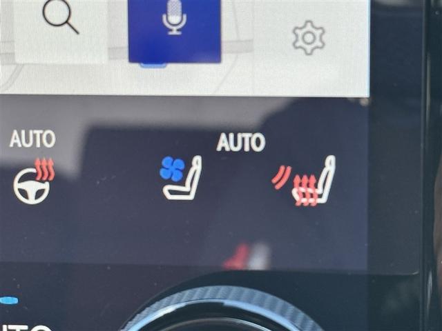 ���V�[�g�q�[�^�[���x���`���[�V�������~�͒g�����A�Ă͗��������Ă����V�[�g�ł��I