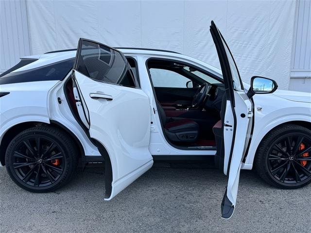 �h�A���J������Ԃł��I