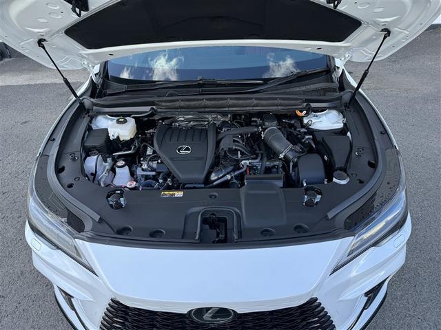 �G���W�����[�����ו��܂��Y��ɐ��I�I�s�J�s�J�ł��I