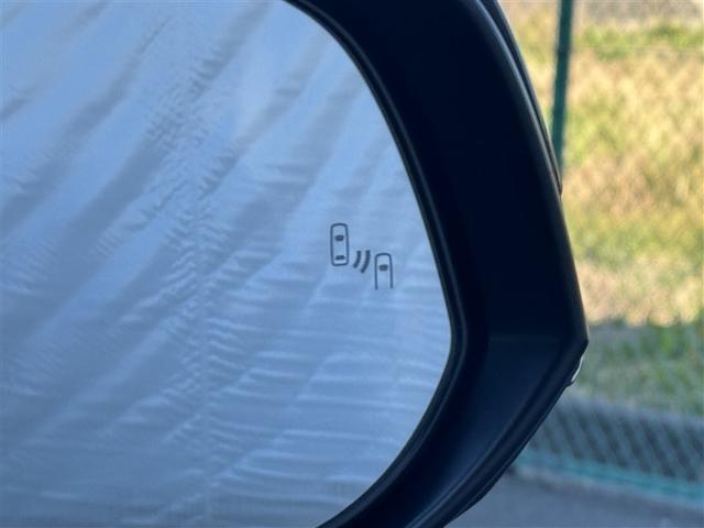 アルファード ３．５エグゼクティブラウンジＳ　革シート　サンルーフ　フルセグ　メモリーナビ　ＤＶＤ再生　ミュージックプレイヤー接続可　後席モニター　バックカメラ　衝突被害軽減システム　ＥＴＣ　ドラレコ　両側電動スライド　ＬＥＤヘッドランプ（11枚目）