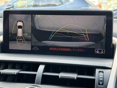 �������ϣ��������˥���������ޤμ��Ϥ�ľ��Ū���İ�������ޤ򿿾夫�鸫�Ƥ���褦�ʱ����� 6