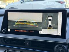 �������ϣ��������˥���������ޤμ��Ϥ�ľ��Ū���İ�������ޤ򿿾夫�鸫�Ƥ���褦�ʱ����� 7