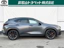 NX350h Fスポーツ 革シート サンルーフ フルセグ メモリーナビ ミュージックプレイヤー接続可 バックカメラ 衝突被害軽減システム ETC ドラレコ LEDヘッドランプ ワンオーナー(39枚目)
