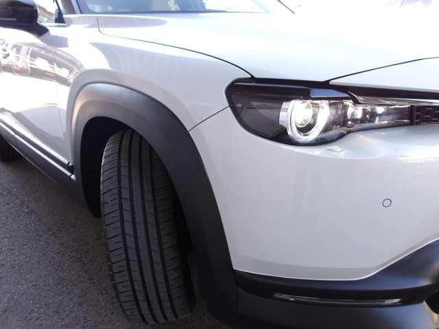 ��ԑ��s���ɂ����邢���E���m�ۂł���A�k�d�c�w�b�h���C�g�𑕔����Ă��܂��B